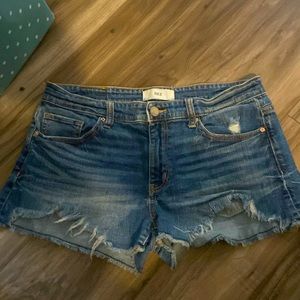Buckle Shorts